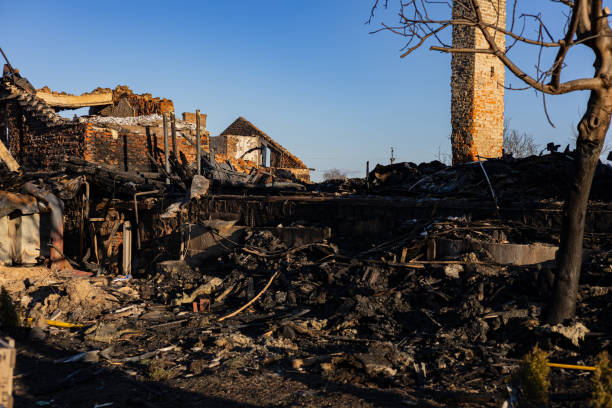 Reliable Content Restoration contractor in Crystal Beach, FL by Fire Damage Doption